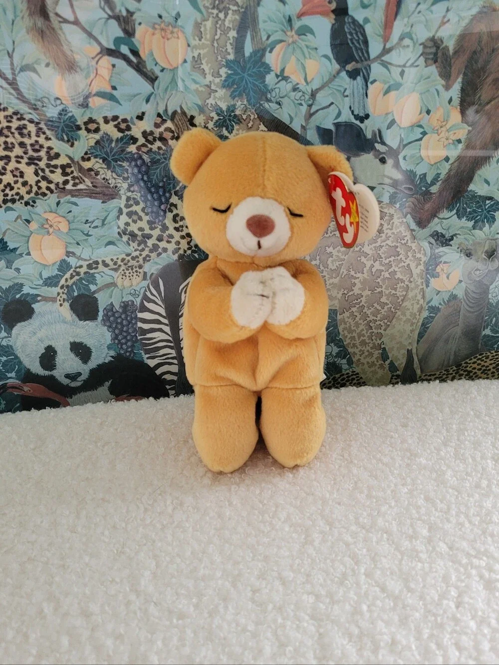 5 Bear Beanie Babies | Ty